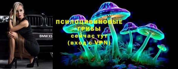 молекула духа Корсаков