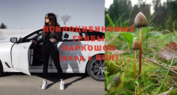 молекула духа Корсаков