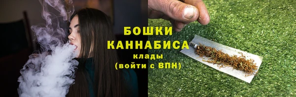 первитин Коряжма