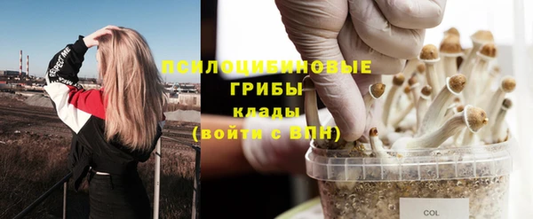 первитин Коряжма