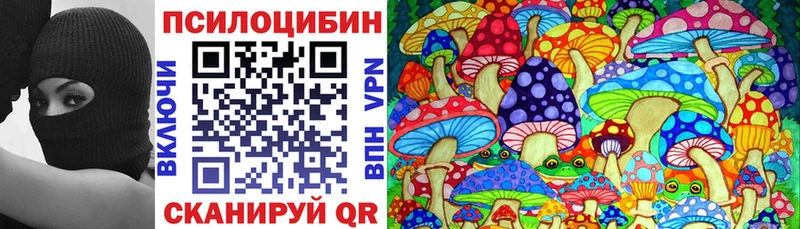 Псилоцибиновые грибы Psilocybe  Купить где  Лесосибирск 