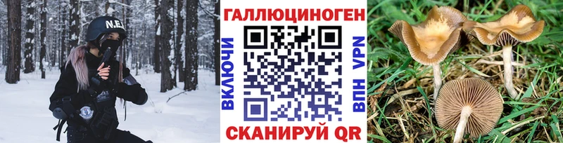 Галлюциногенные грибы мухоморы Лесосибирск